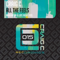 All the Feels - Single - Craig C