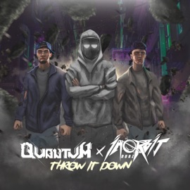 Throw It Down In Orbit Dubz & QuantuM