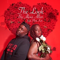 The Look (feat. Phat Kat) [Single Version] [Single Version] - Alexis Allon