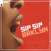 Sip Sip (Extended Mix) artwork