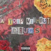 A Trip Without Drugs - Vilardz