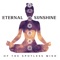 Solar Plexus Chakra (feat. Anandani) - Shiva Mantrya lyrics