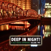 Deep in the Night!: A Jazz House Experience, Vol. 2 artwork