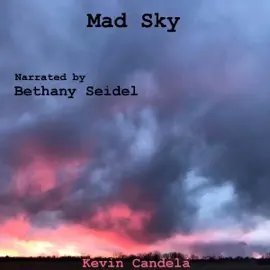 Mad Sky (Unabridged)