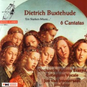 Buxtehude: 6 Cantatas (Ein Starken Music...) artwork