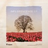 Inflorescence - Single