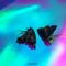 Speed of Sound (feat. Katrine Normann) - Nandu lyrics