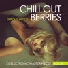 Chill Out Berries, Vol. 6 (25 Electronic Master Pieces)