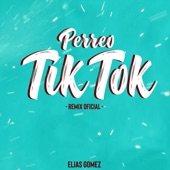 Perreo TikTok (feat. DJ Richard Banegas) [Remix] artwork