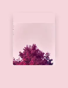 Escucha a 2NATURAL, mira videos musicales, lee su biografía, consulta las fechas de las gira y más.