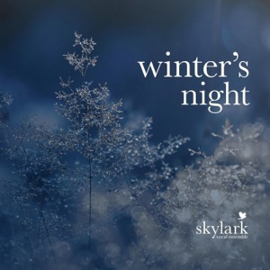Winter's Night
