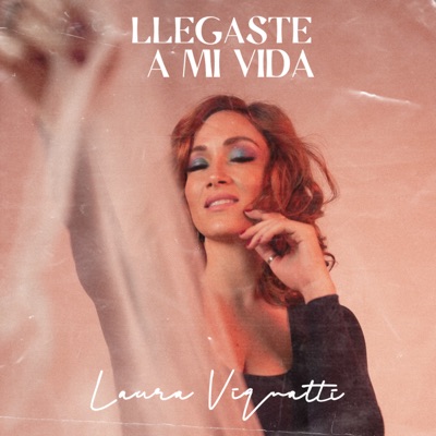 Llegaste a Mi Vida - Single