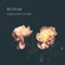 Hiking - Limelight Glow lyrics