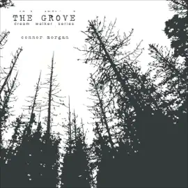 The Grove: Dream Walker Series, Book 1 (Unabridged)