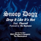 Drop It Like It's Hot (Extra Clean Radio Edit) artwork