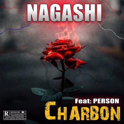 Charbon (feat. PERSON) - Single