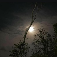 Ever Been (feat. polar333) - Single
