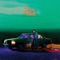 9.99 Free - Sam Evian lyrics
