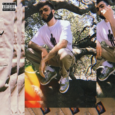 Dickies - Single