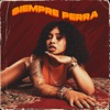 Siempre Perra - Single