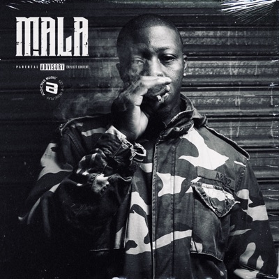 Song - Homme de l'ombre (feat. Lunatic) - Mala