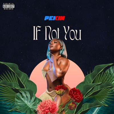 If Not You - Single