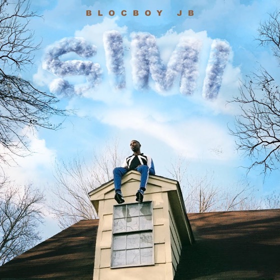 Cover artwork for Shoot