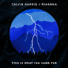 Calvin Harris & Rihanna - This Is What You Came For artwork