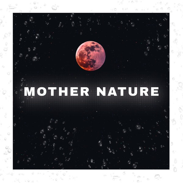 Mother Nature Night Forest - EP