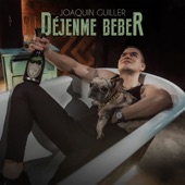 Déjenme Beber artwork