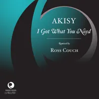 I Got You Need — Akisy