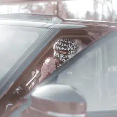 Listen to Rackiez, watch music videos, read bio, see tour dates & more!