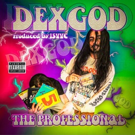 The Professional DEXGOD
