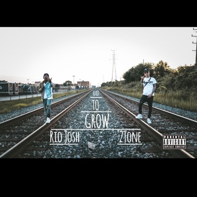 Had To Grow - Single