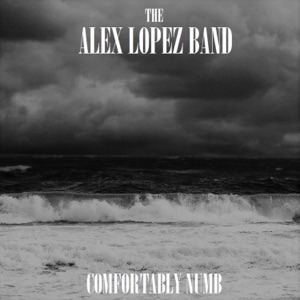 Comfortably Numb - Single