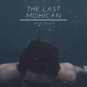 The Last Mohican artwork