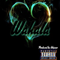 Wahala (feat. Patrin) - Single - Mega12