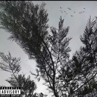 Black Birds - Single - Demxn