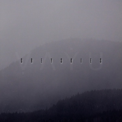 Grey Skies - Single