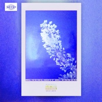 Blvcklight Blxssxm - Single - Xeal