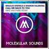 Call Me Back to You (Mike Van Fabio Remix) - Braulio Stefield & Sharon Valerona