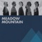Radio Waves - Meadow Mountain lyrics