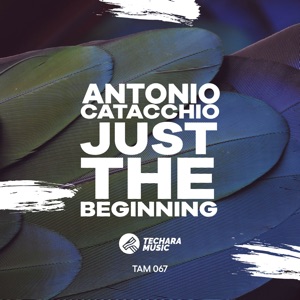 Just the Beginning - Single