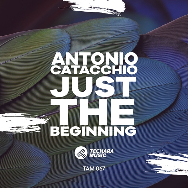 Just the Beginning - Single