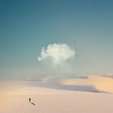 Nevel: песни, клипы, биография, даты выступлений и многое другое.