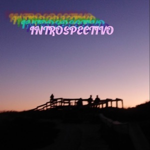 INTROSPECTIVO