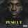 Pusha T - Trouble on My Mind