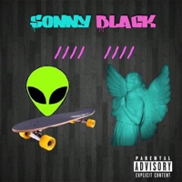 Section 8 (feat. TJ the Great) - Single - Sonny Black