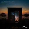 Alex Donofrio - Look For What's Looking