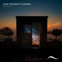 Look For What's Looking — Alex Donofrio